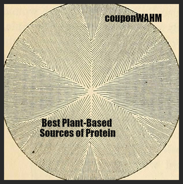 Best Plant-Based Sources of Protein
