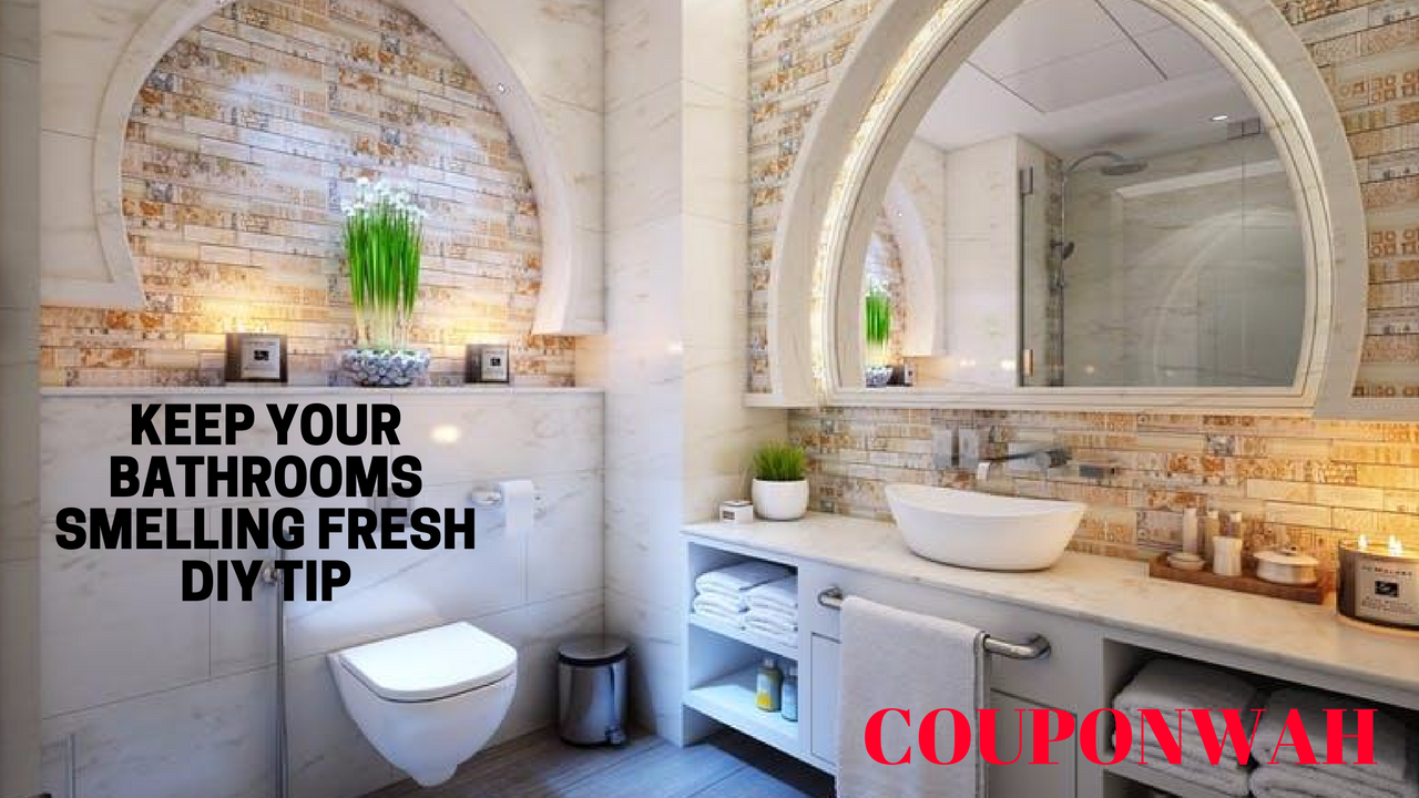 Keep Your Bathrooms Smelling Fresh DIY Tip