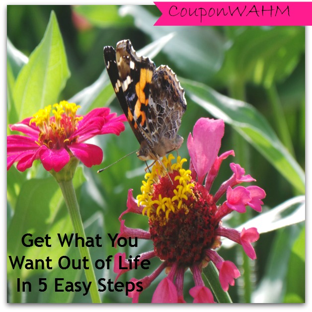 Get What You Want Out of Life in 5 Easy Steps